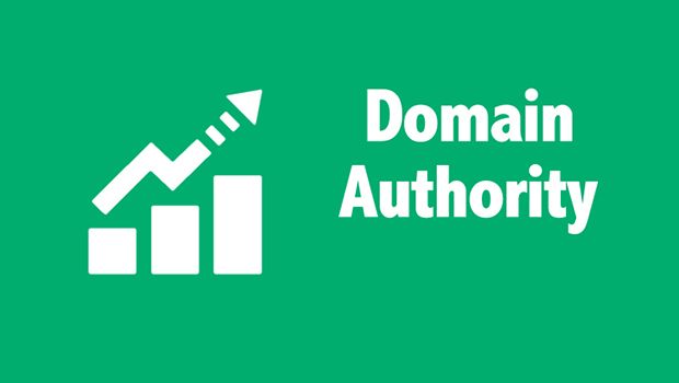 Domain Authority SEO
